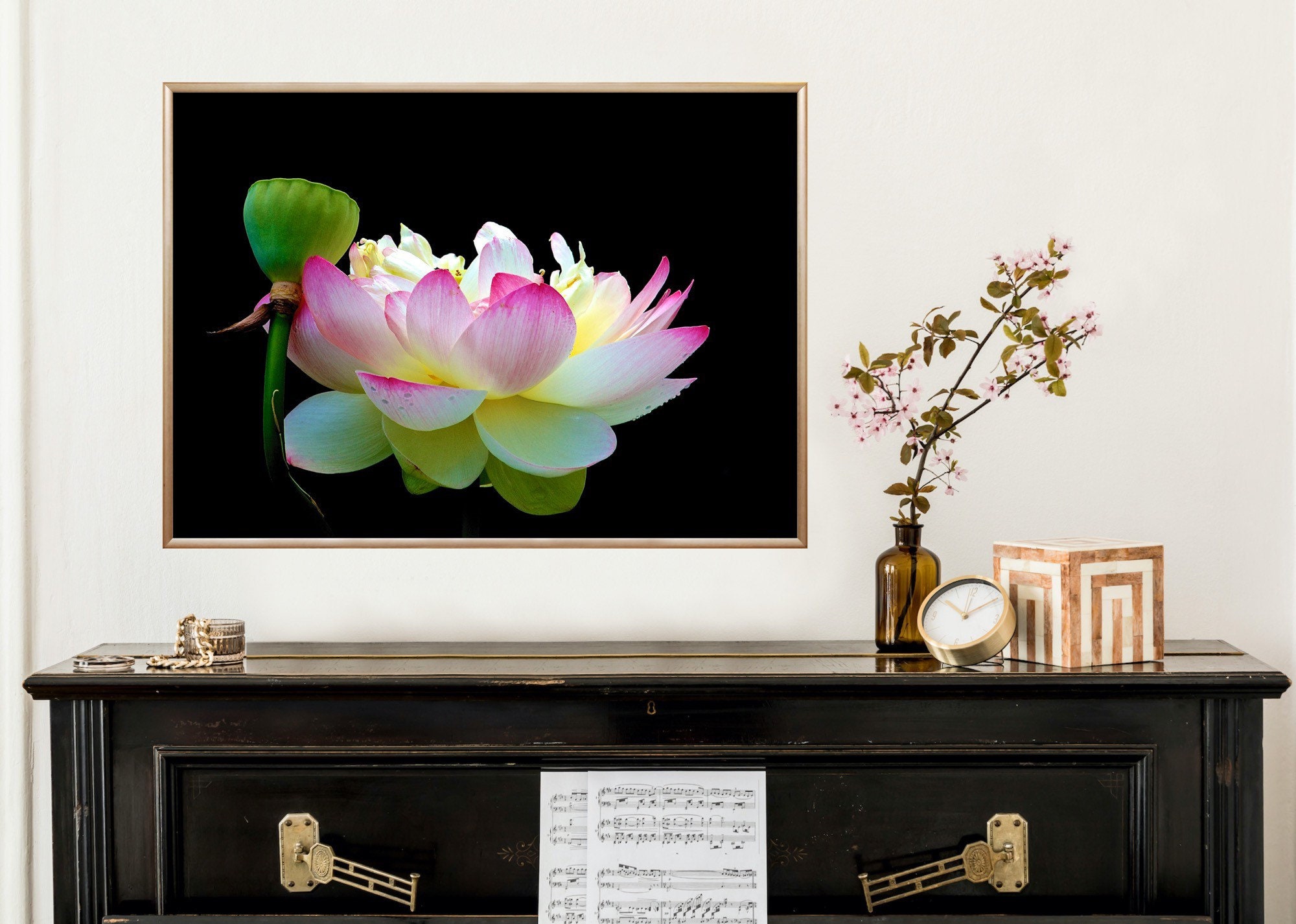 Limited Edition Lotus VIII Rhode Island Fine Art Canvas Etsy
