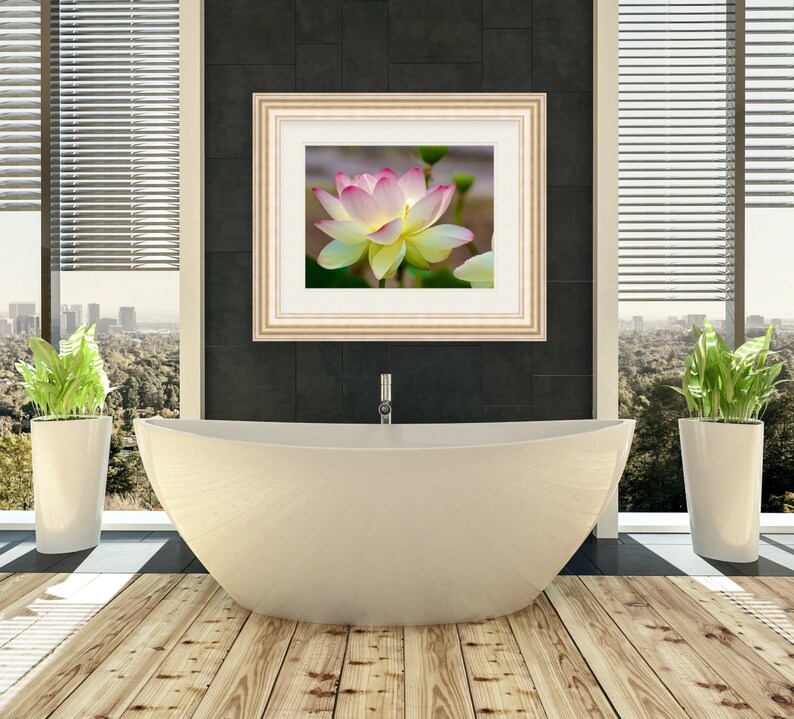Lotus Flower Rhode Island Wickford Floral Nature Art Etsy