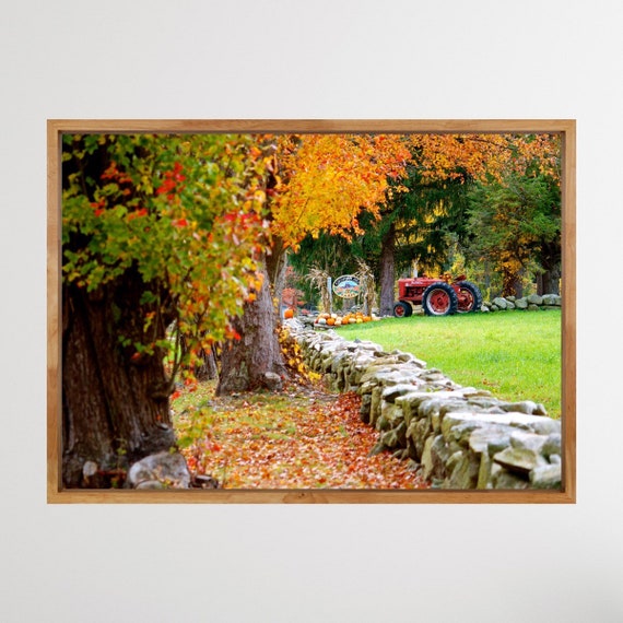 Autumn Decor, Cucumber Hill Farm, Rhode Island, New England Fall Foliage, Autumn Photography, Tractor, Country, Stone Walls, Fall Wall Art