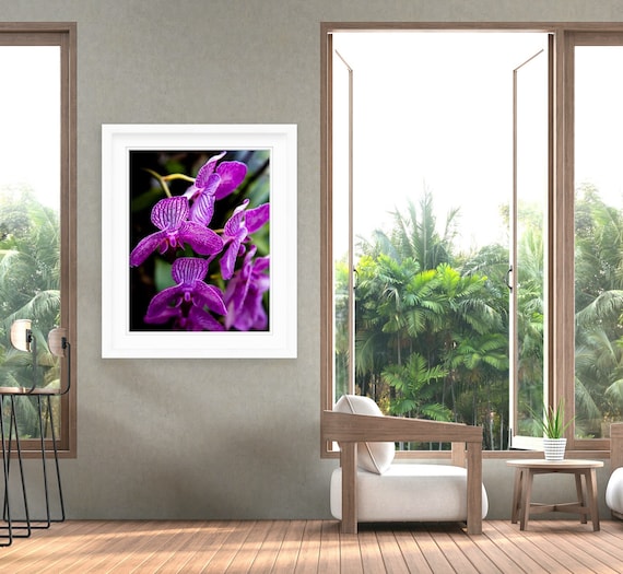 Flower Photography, Palm Beach, Florida, Renatos Restaurant, Art, Artwork, Photograph, Orchid, Flower, Floral, Summer, Wall Art, Tropical