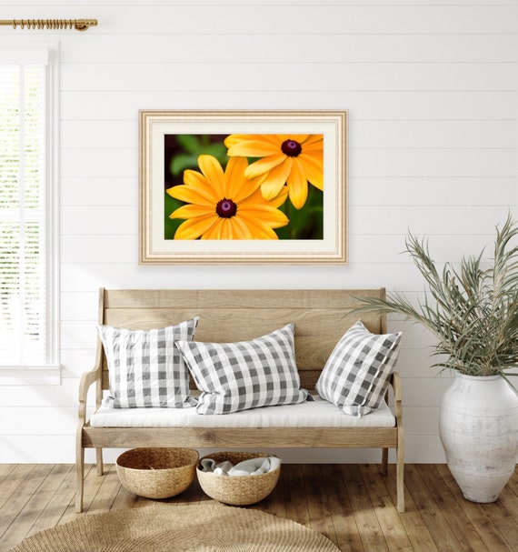 Black Eyed Susan Photo, Rhode Island Artwork, Floral Artwork, Flower Print, Summer Photo, Canvas Wall Art, New England Photography