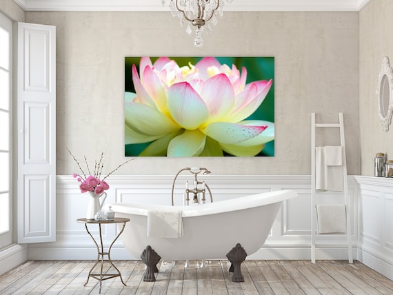 Lotus Flower, Wickford, Rhode Island, Canvas, Fine Art Photography, Wall Art, Floral, Yellow Lotus, Pink Lotus, Summer, Home Decor, Artwork