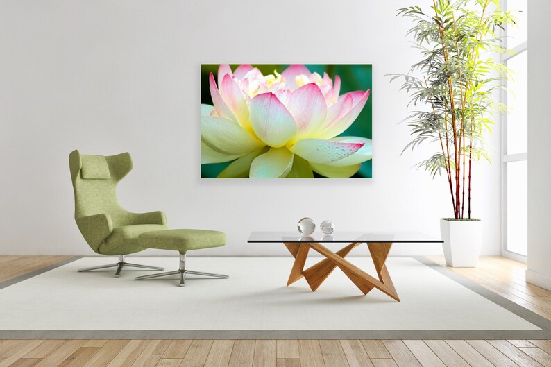 Lotus Flower Wickford Rhode Island Canvas Fine Art Etsy