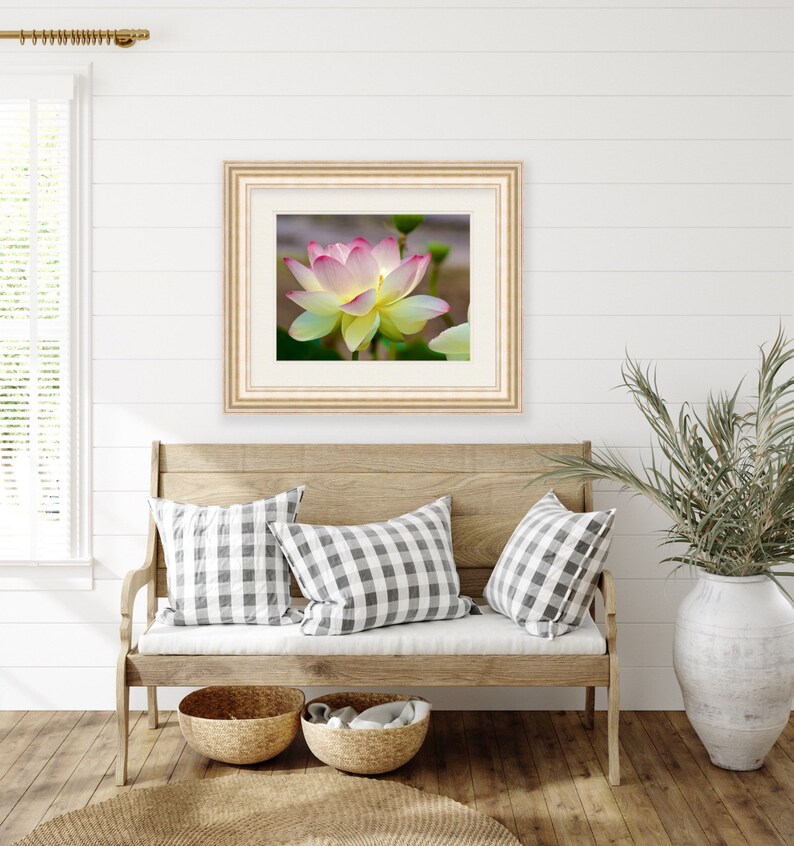 Lotus Flower Rhode Island Wickford Floral Nature Art Etsy