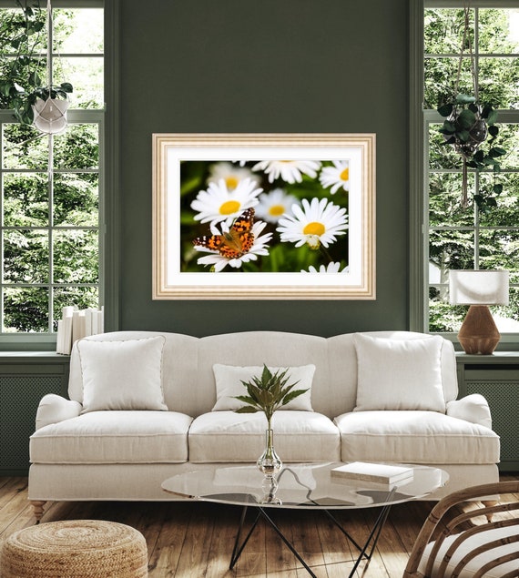 Daisies, Warwick Neck, Rhode Island, Floral, Nature, Shasta Daisies, Butterfly, Art, Artwork, Photograph, Prints, Home Decor, Flower Art, RI