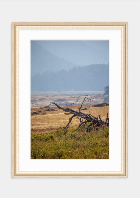Rocky Mountain National Park Print: Colorado Nature Photography, Linen Texture