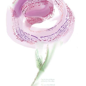 Rose print