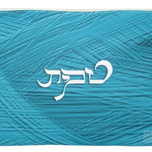 Puede incluir: Una bolsa con cremallera azul turquesa con la palabra hebrea blanca "שלום" (que significa "paz") sobre un fondo texturizado.