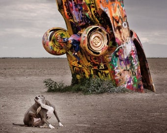 Got An Itch - Giclée Art Print: Cadillac Ranch Amarillo Texas Road Trip Travel Photography