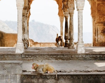 Monkeys In Temple Ruin, Jaipur - Open and limited edition travel photography art print. Atmospheric idyllic dilapidated Mughal architecture