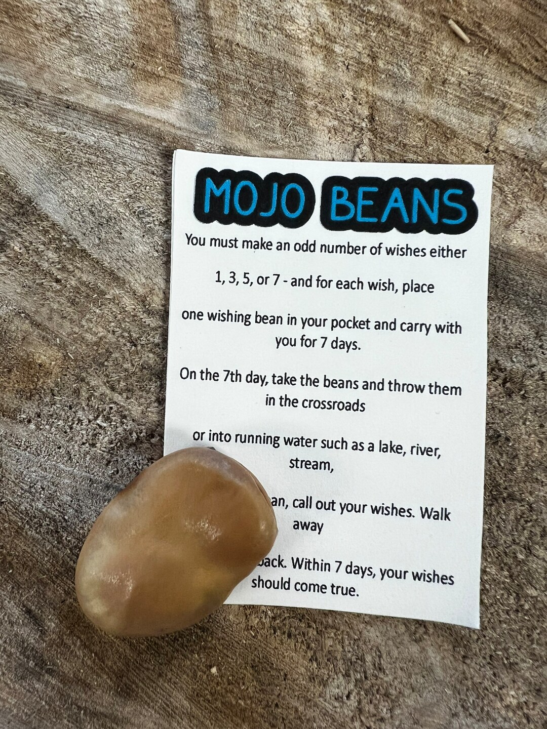 Mojo Bean for Luck and Wishes in Organza Bag With How to Card Etsy