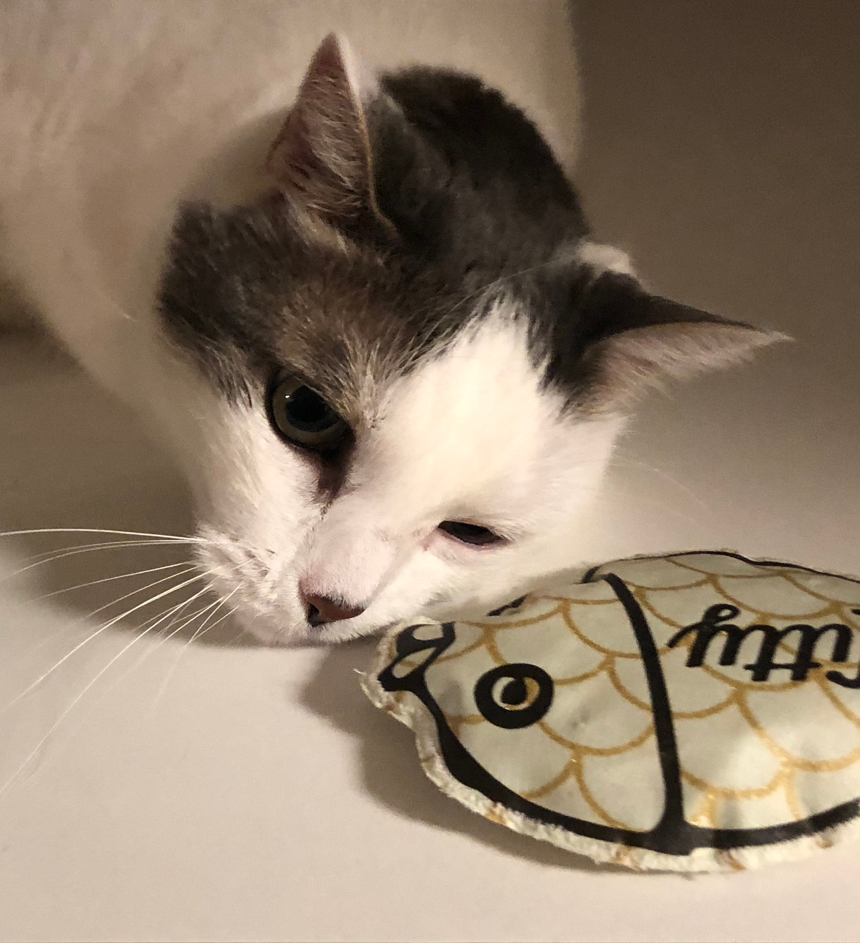 Jouet Personnalisé Pour Chat - Herbe Au Chat