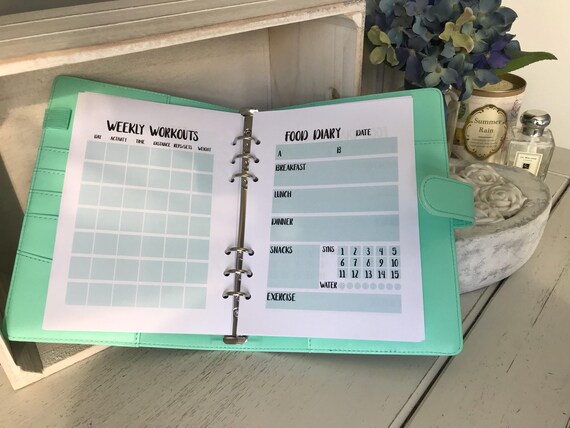 food log book diet log book food planner diary diet tracker diet planner food diary diet diary slimming world friendly diet log book