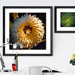 BOTANICS No. 1 Photographic Print