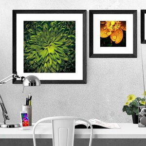 BOTANICS No. 17 Photographic Print