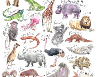 animal A-Z poster print, children's room / nursery