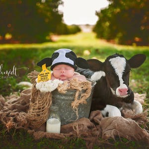 Newborn Holstein Cow Hat