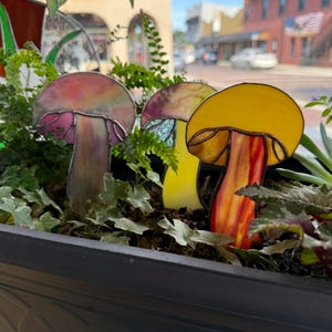 Handcrafted stained glass toadstool plant stake, unique home decor, fairy garden art, fungus gift idea, mushroom plant art