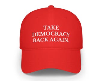 TAKE DEMOCRACY BACK again baseball cap
