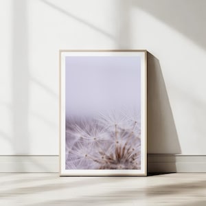 May include: A framed print displaying a macro photograph of a dandelion clock. The image highlights the intricate details of the fluffy seeds against a soft, out-of-focus backdrop. The frame is a light neutral colour, creating a calming, minimalist aesthetic.