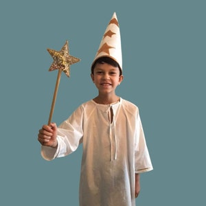 Star boy St. Lucy procession image 1