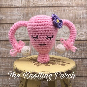 Uterus, Crochet Uterus with Flower, Plushie, Stuffy, Gift for Hysterectomy