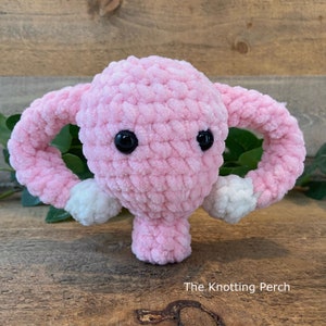 Handmade Crochet Chunky Uterus Plushy, Feminine Health Awareness Gift, Hysterectomy Gift, Good Bye Uterus