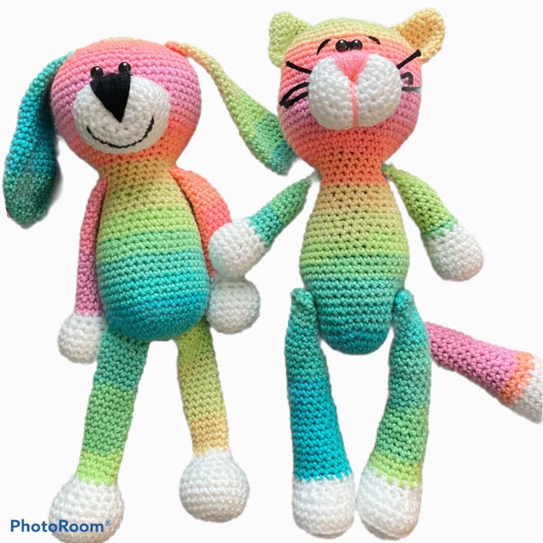 Rainbow cat | rainbow dog | cute kitty