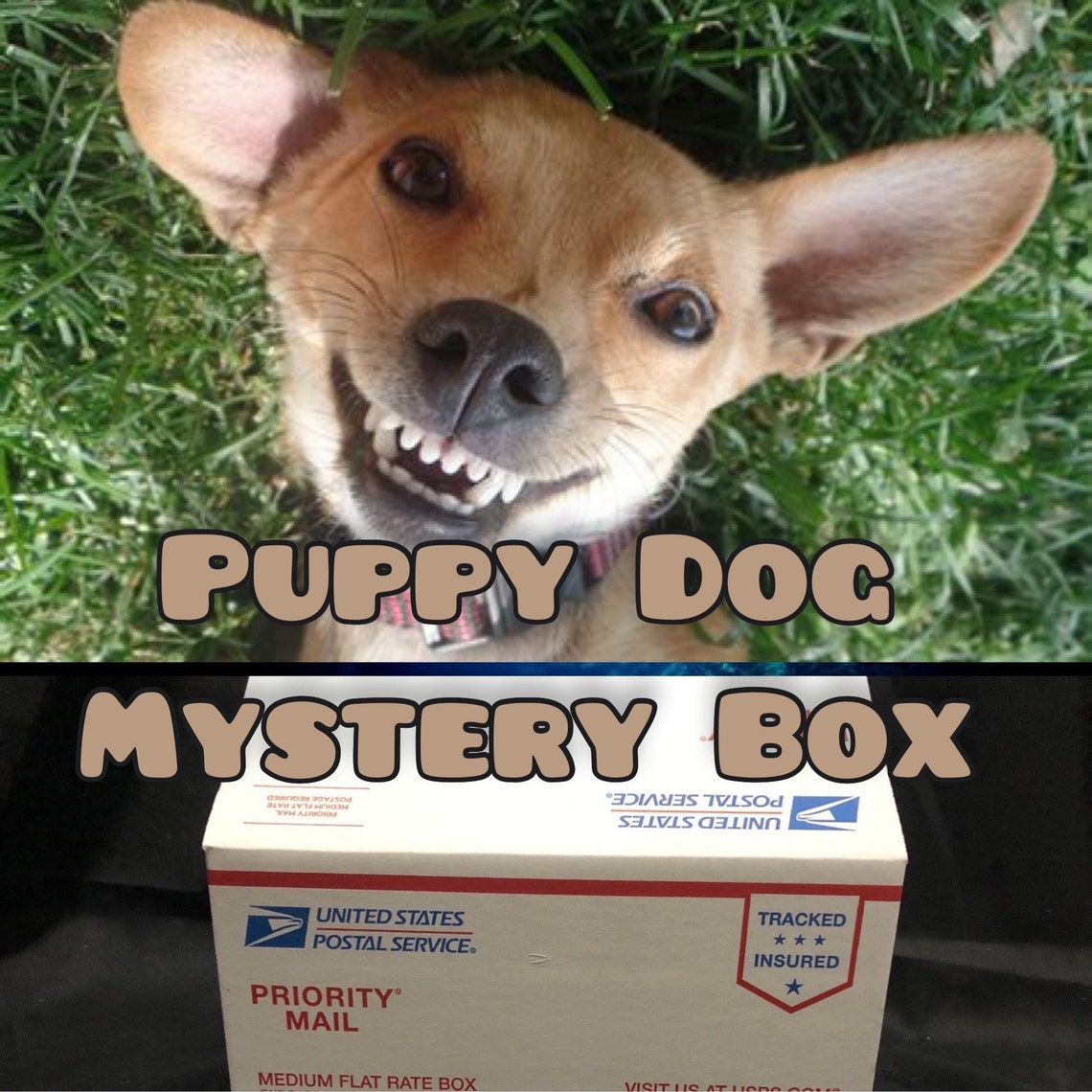 Puppy Dog mystery box mystery box box of Dog items grab Etsy