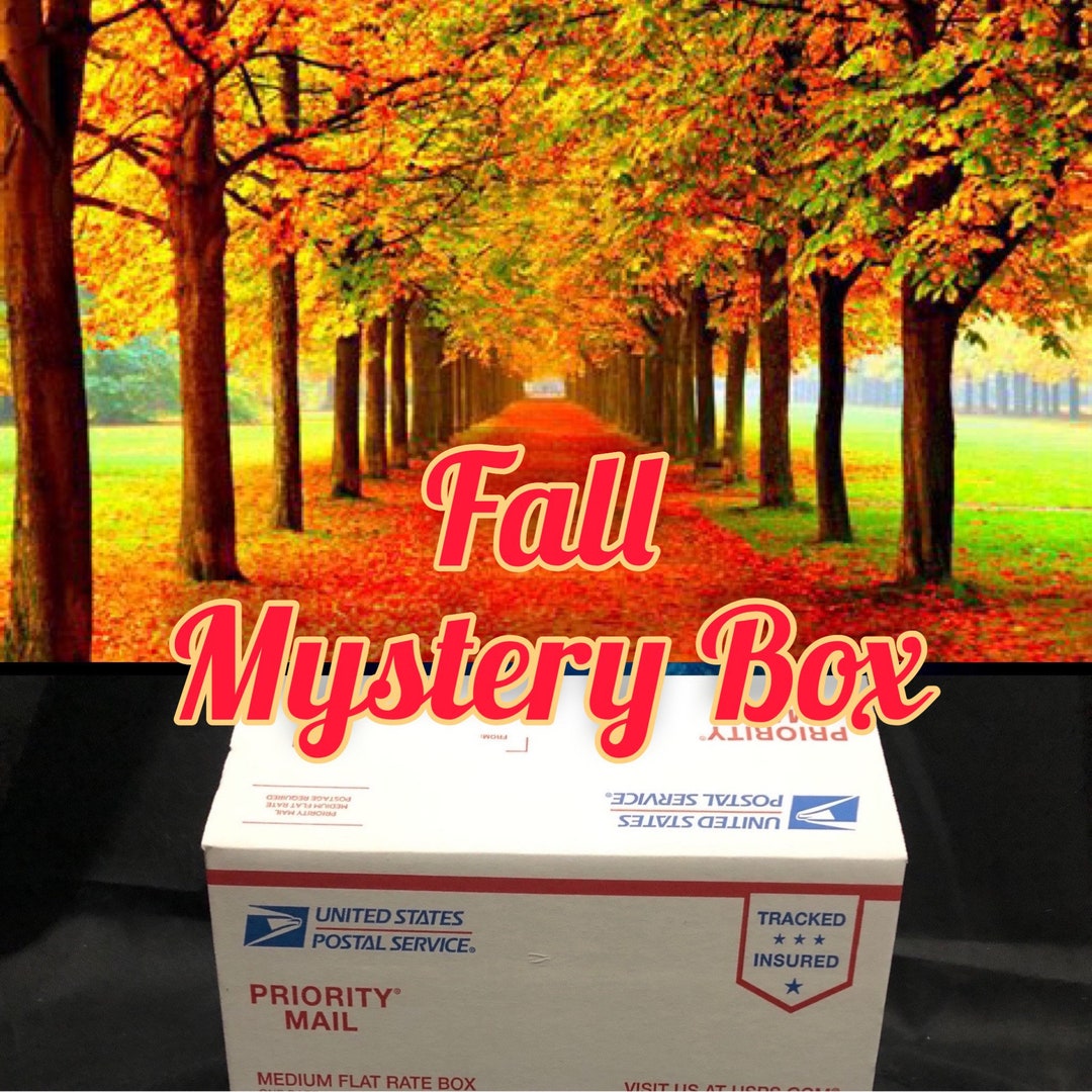 Fall Mystery Box Mystery Box Box of Fall Items Grab Bag Fall Mystery