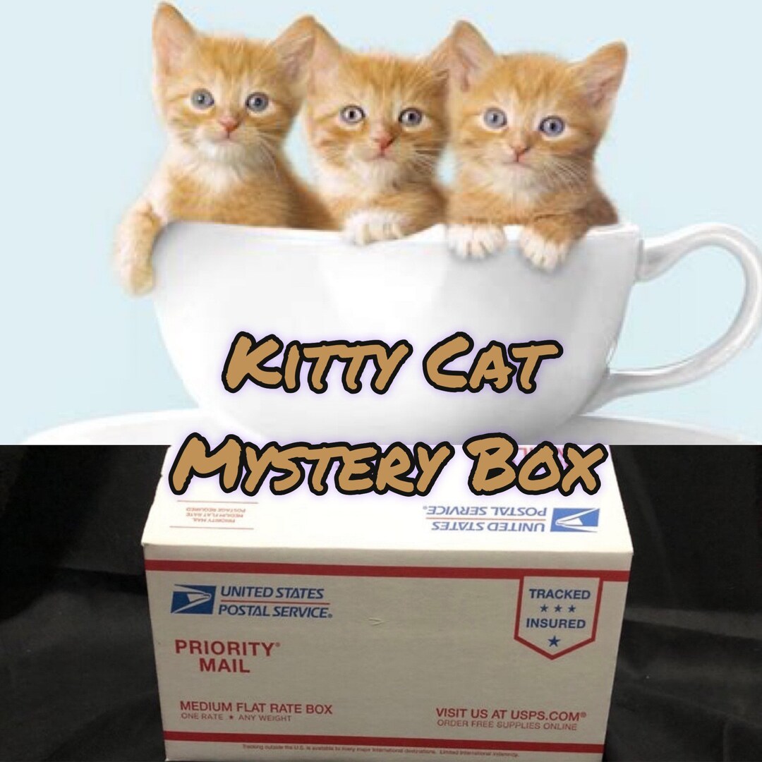 Kitty Cat Mystery Box Mystery Box Box of Cat Items Grab Bag Kitty
