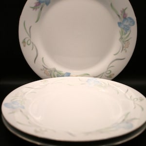 May include: Two white ceramic plates with a floral design. The plates feature a delicate pattern of blue, pink, and green flowers and leaves around the rim. The plates are stacked on top of each other.
