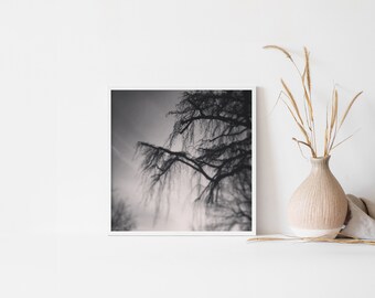 Fotografie Poster landschaft schwarz weiß