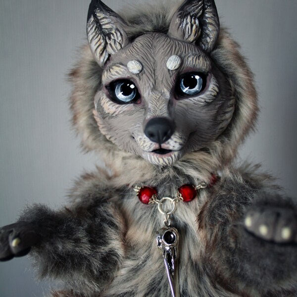 Gray wolf