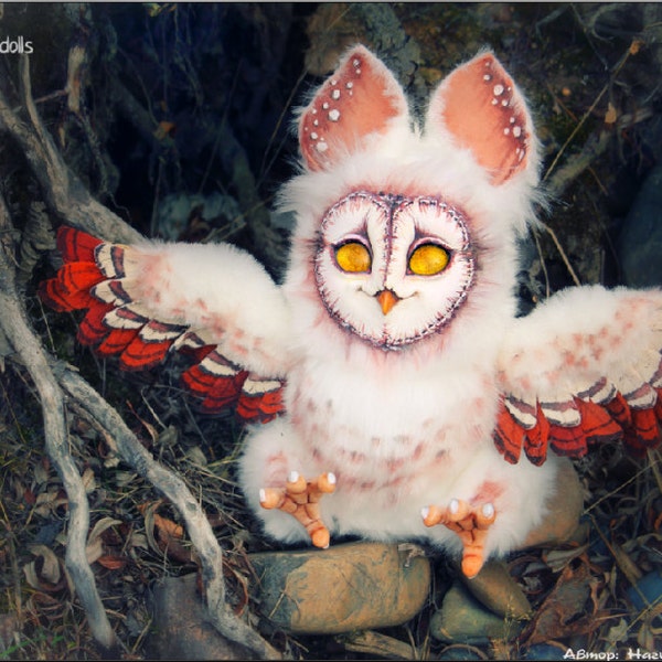 Long-eared Barn Owl