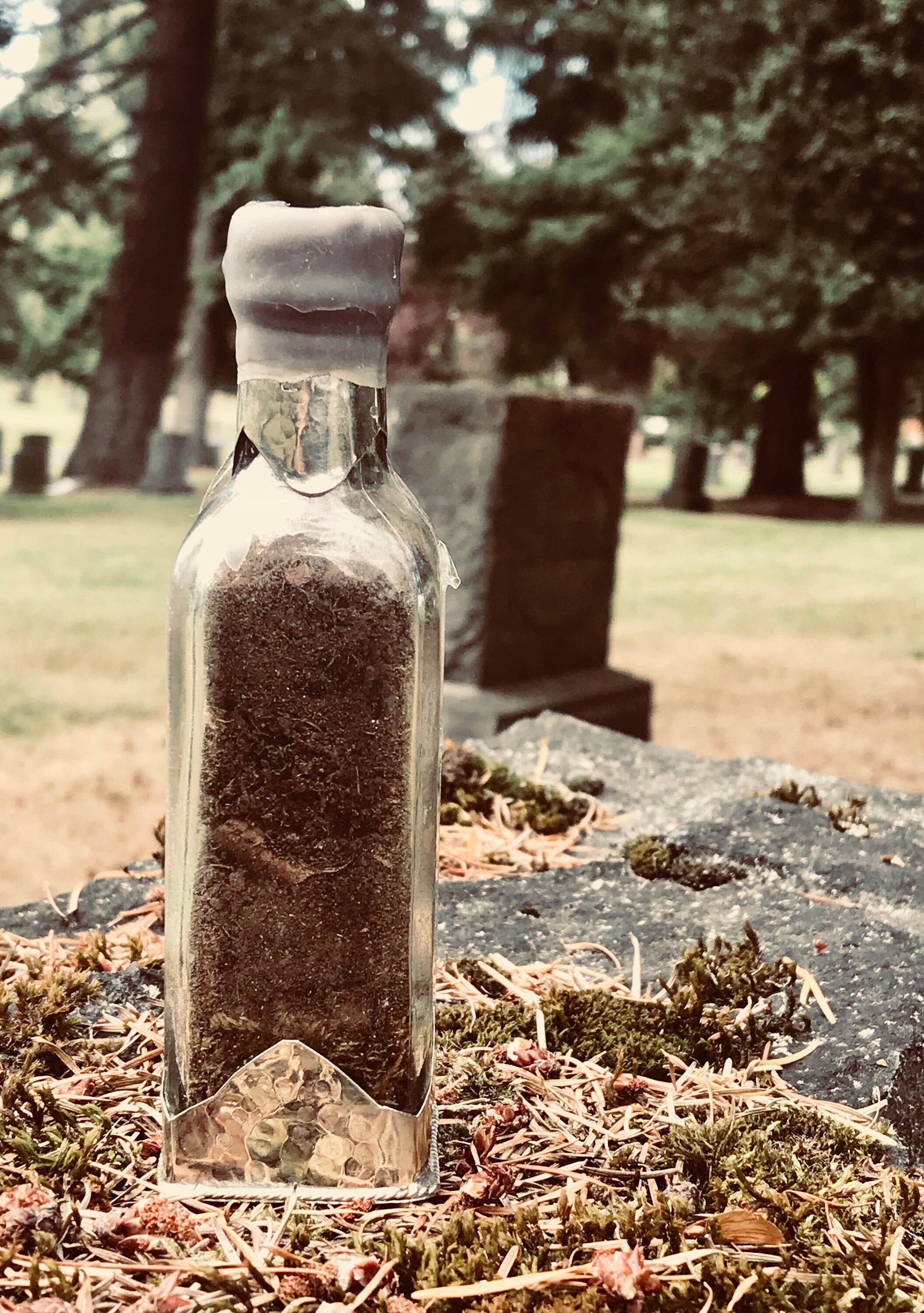 GAUDETTE deathbed Grave BAYVIEW CEMETERY Dirt Etsy