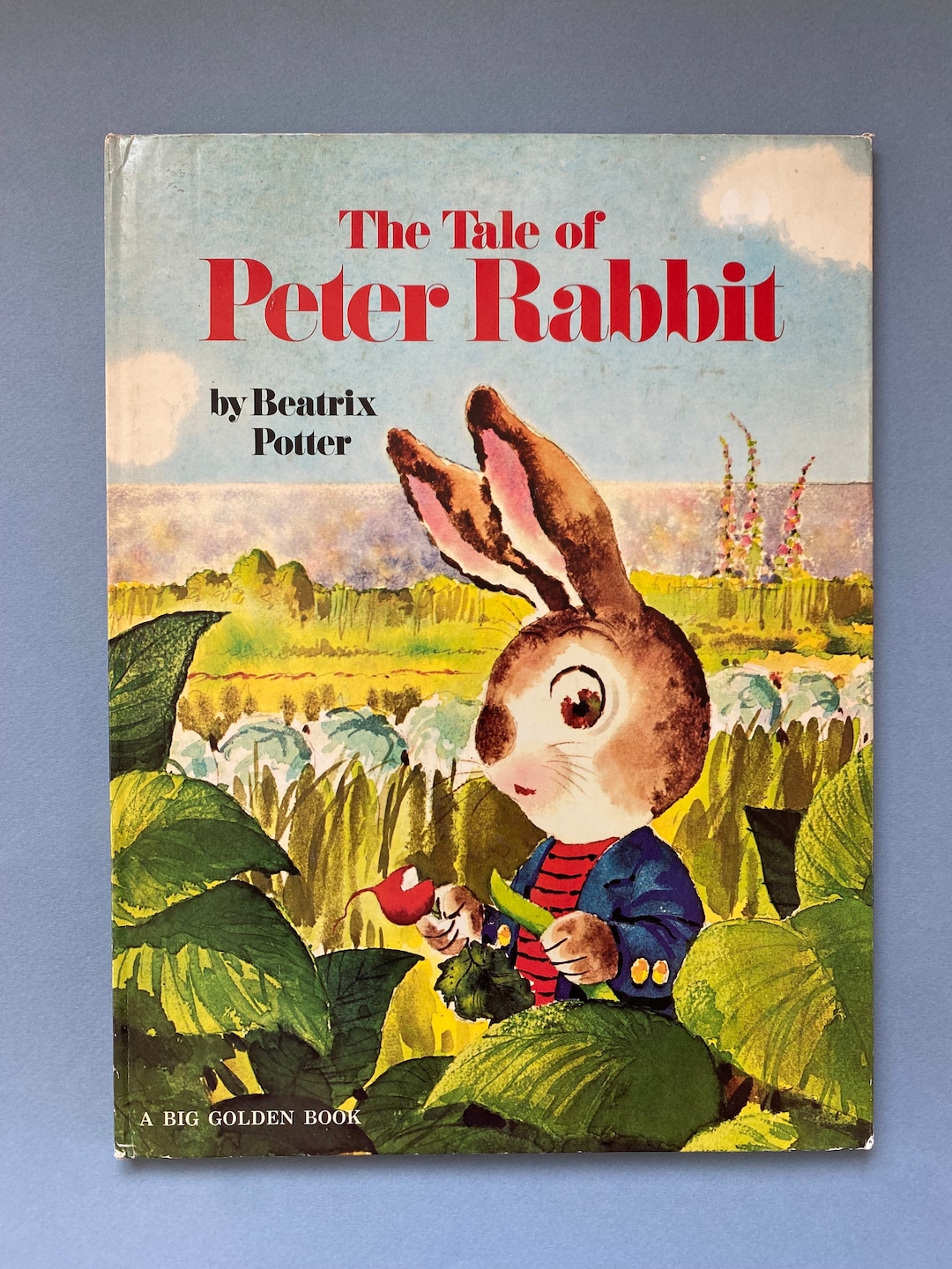 The Tale of Peter Rabbit A Big Golden Book Vintage 1960s Illustrations ...