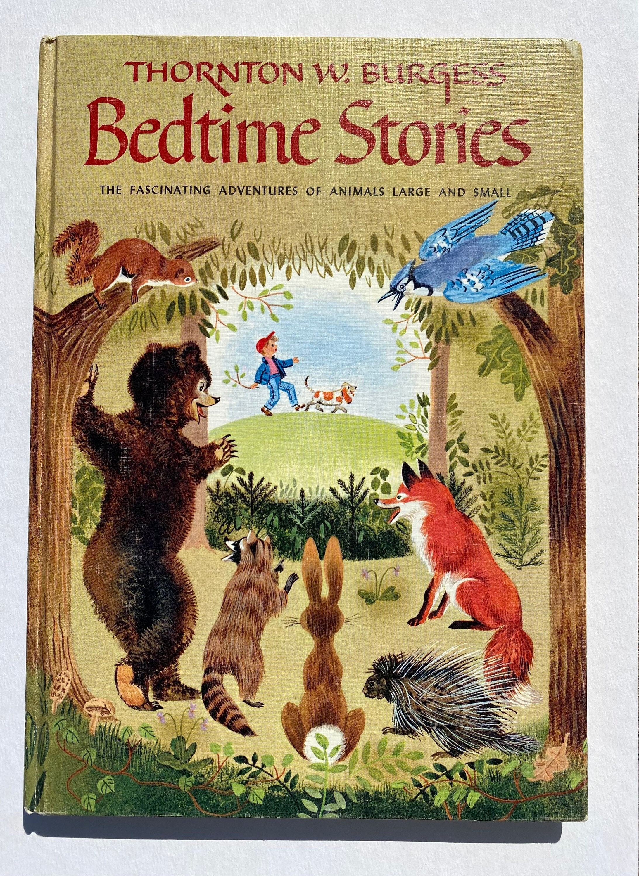 Bedtime Stories: the Fascinating Adventures of Animals Large - Etsy Bedtime Stories: the Fascinating Adventures of Animals Large - Etsy