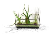Stained Glass Terrarium - 10cm Extended Cube - Cut-off Edge - Pale Green Gravel - Indoor Garden - Decorative Planter - Air Plant Holder