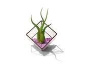 Stained Glass Terrarium Planter - 10cm Cube - Cut-off Corner - Lavender Gravel - Air plant holder - Etsy Made Local - Cavetsy