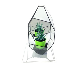 Stained Glass Terrarium - Crystal - Wall Hanging Terrarium - Succulent - Cactus - Orchid - Air Plant - Geometric Plant stand - Mirror