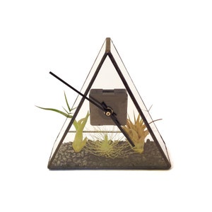 Stained Glass Terrarium Clock 20cm x 20cm x 7cm Air plant holder Mothers Day Valentines Day Just for me image 1