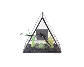 Terrarium Clock - Stained Glass Terrarium Clock - 20cm x 20cm x 7cm - Black Gravel - Air plant holder - Wedding Gift - Gift for Him or Her