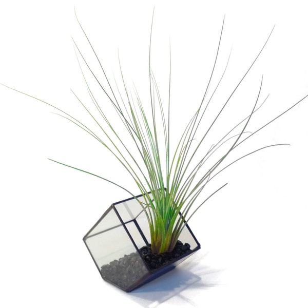 Stained Glass Terrarium - 10cm Cube - Cut-off Edge - Geometric Terrarium - Geometric Planter - Desktop Planter