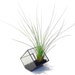 see more listings in the Terrariums section