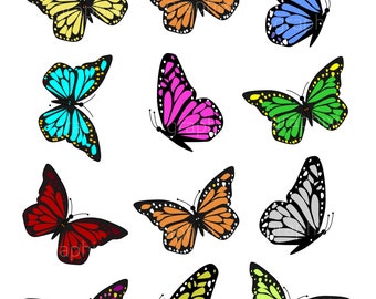 Clipart Butterflies, Colorful,Butterfly, clipart commercial use,vector graphics, Clipart digital clipart, SVG, SVG files, butterflies SVG