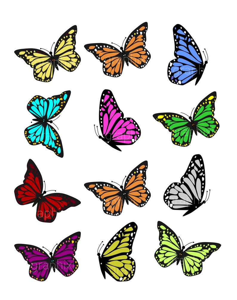 Clipart Butterflies, Colorful,butterfly, Clipart Commercial Use,vector