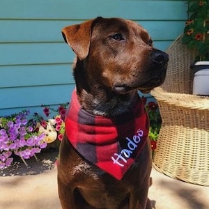 Monogrammed Custom Dog Bandana/ Cat/ Machine Washable/ Adjustable/ Fleece