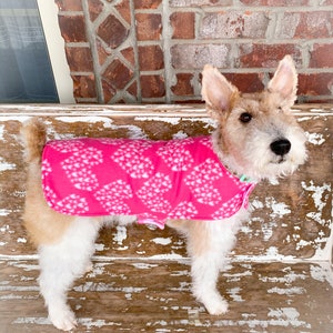 Könnte beinhalten: Ein kleiner, weißer und brauner Hund trägt einen rosa Fleece-Pullover mit weißem Herzmuster. Der Hund steht auf einer Holzbank mit weißer Farbe.