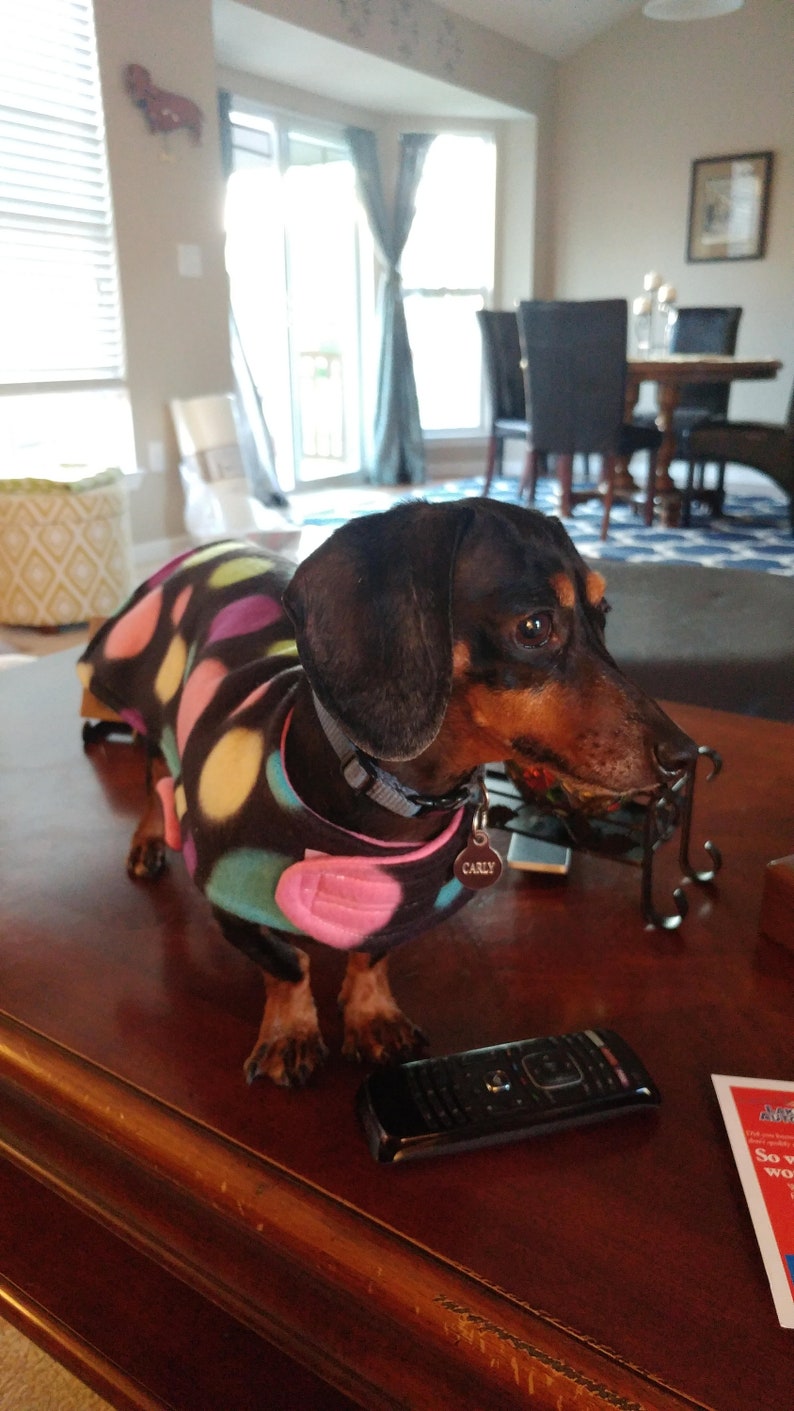 Polka Dot Fleece Dog Coat